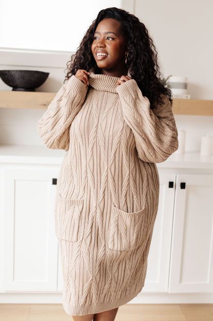 Amaya Turtleneck Sweater Dress