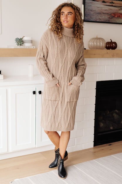 Amaya Turtleneck Sweater Dress