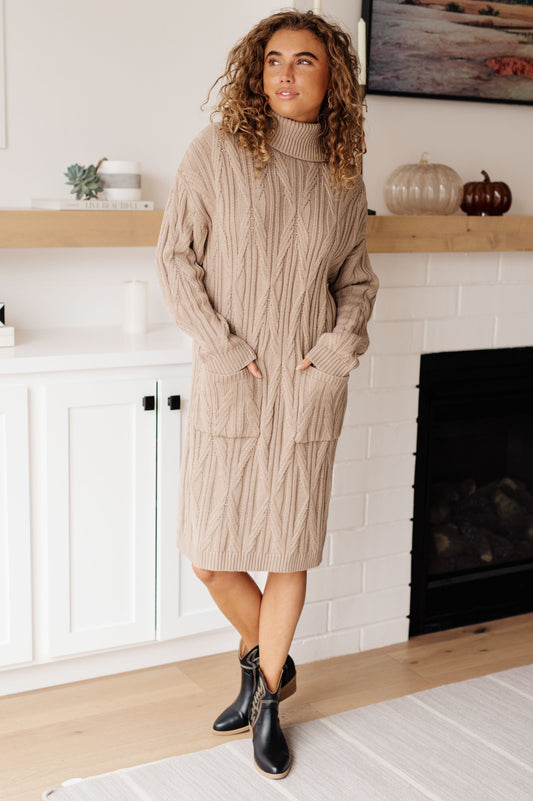 Amaya Turtleneck Sweater Dress