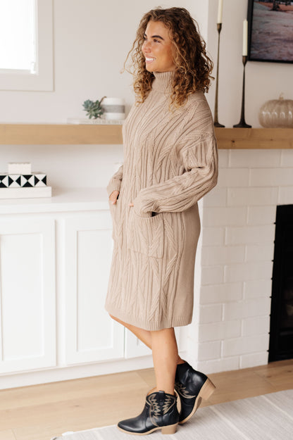 Amaya Turtleneck Sweater Dress