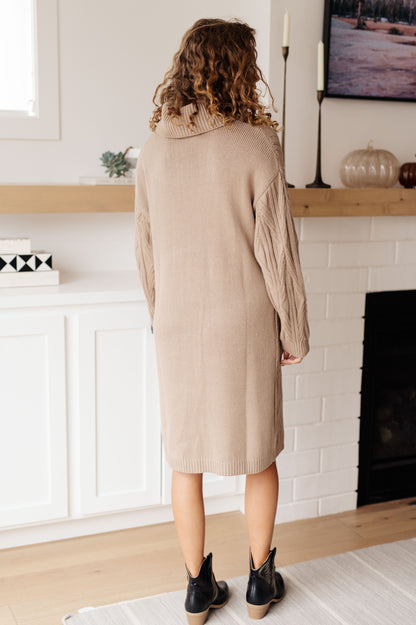 Amaya Turtleneck Sweater Dress