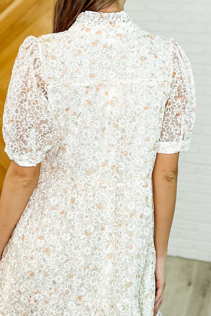 Lace High Neck Dress